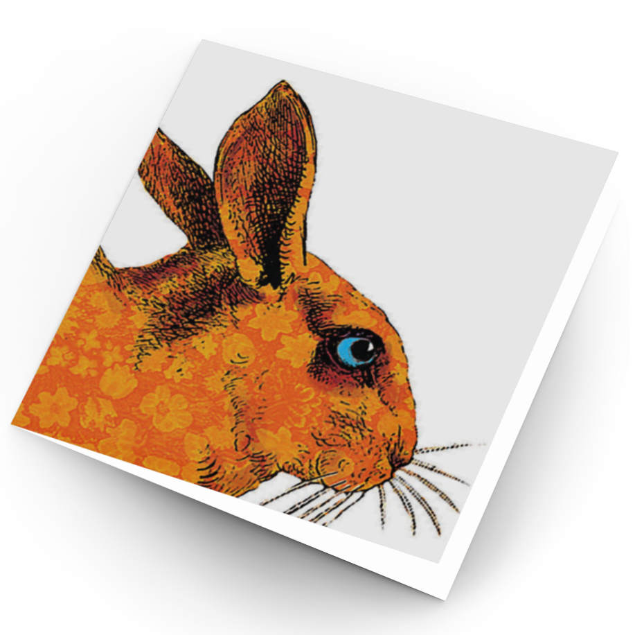 Rabbit Cards