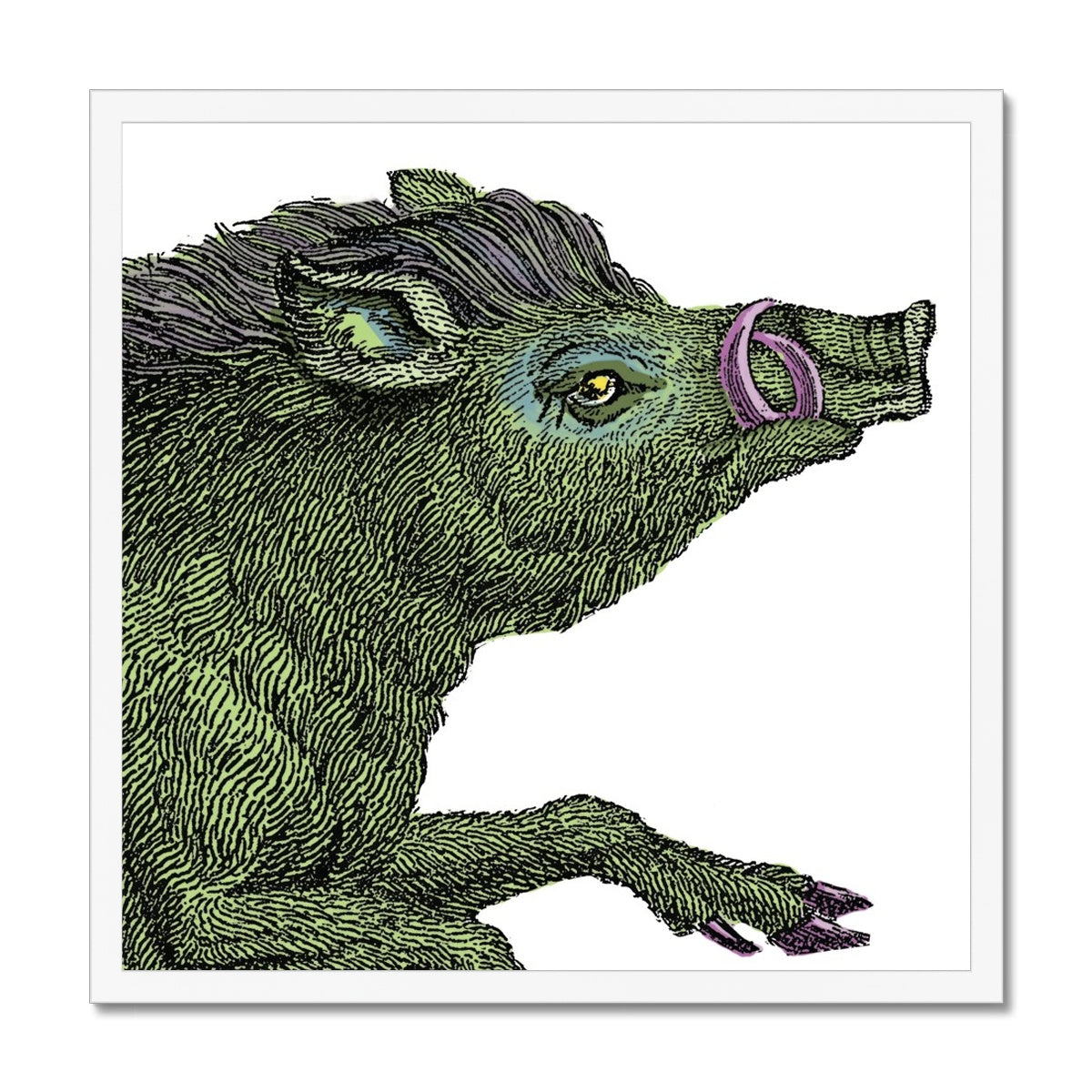 Warthog  Classic Framed Print