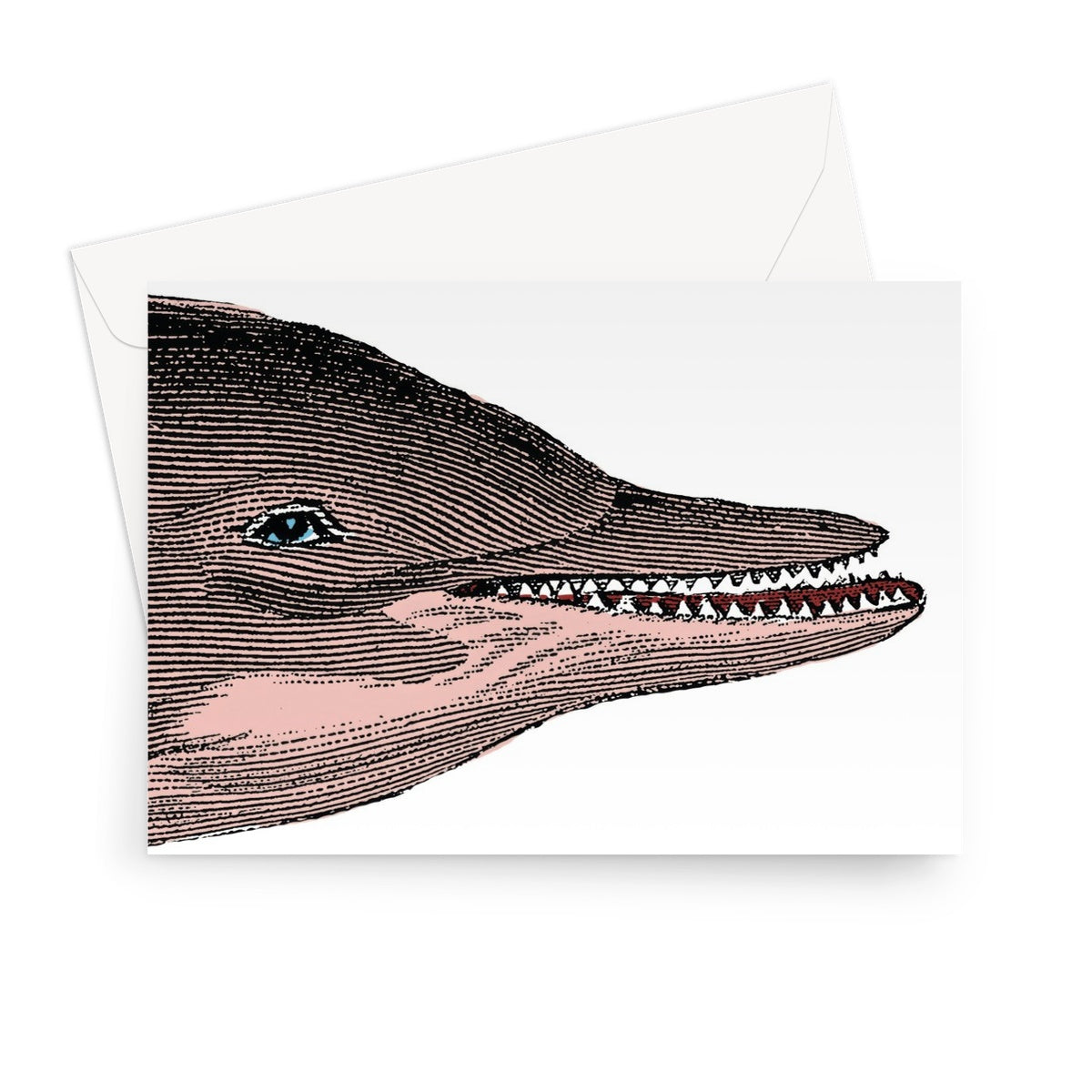 Dolphin Classic Greeting Card