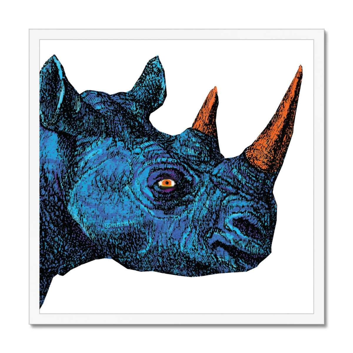 Blue Rhino Classic Framed Print