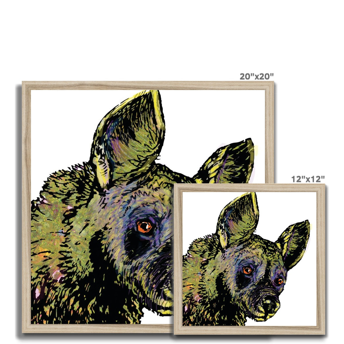 African Wild Dog Classic Framed Print