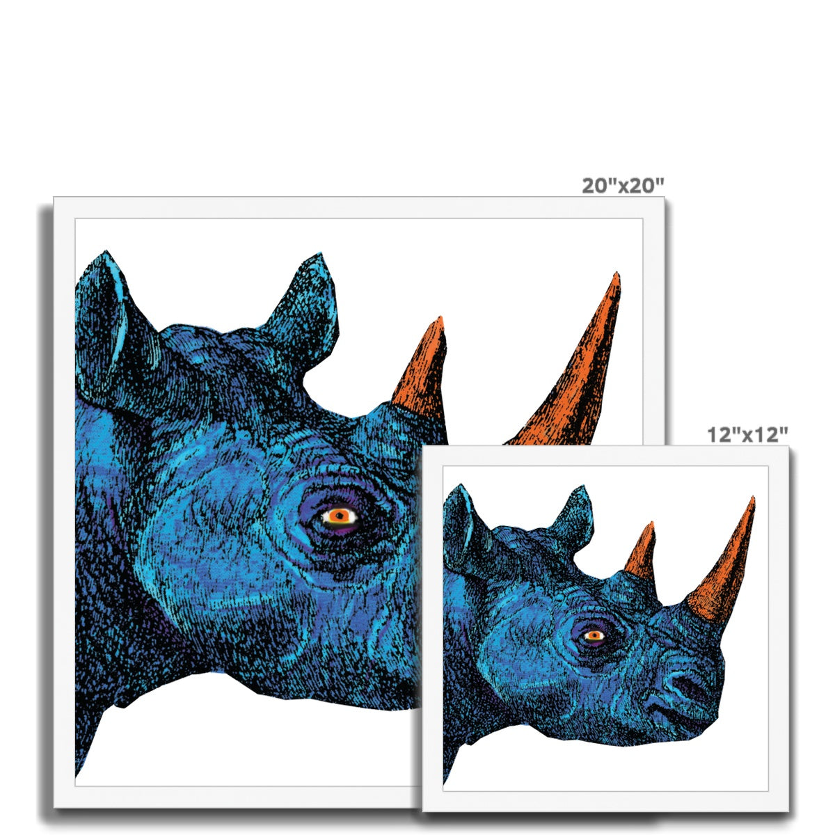 Blue Rhino Classic Framed Print