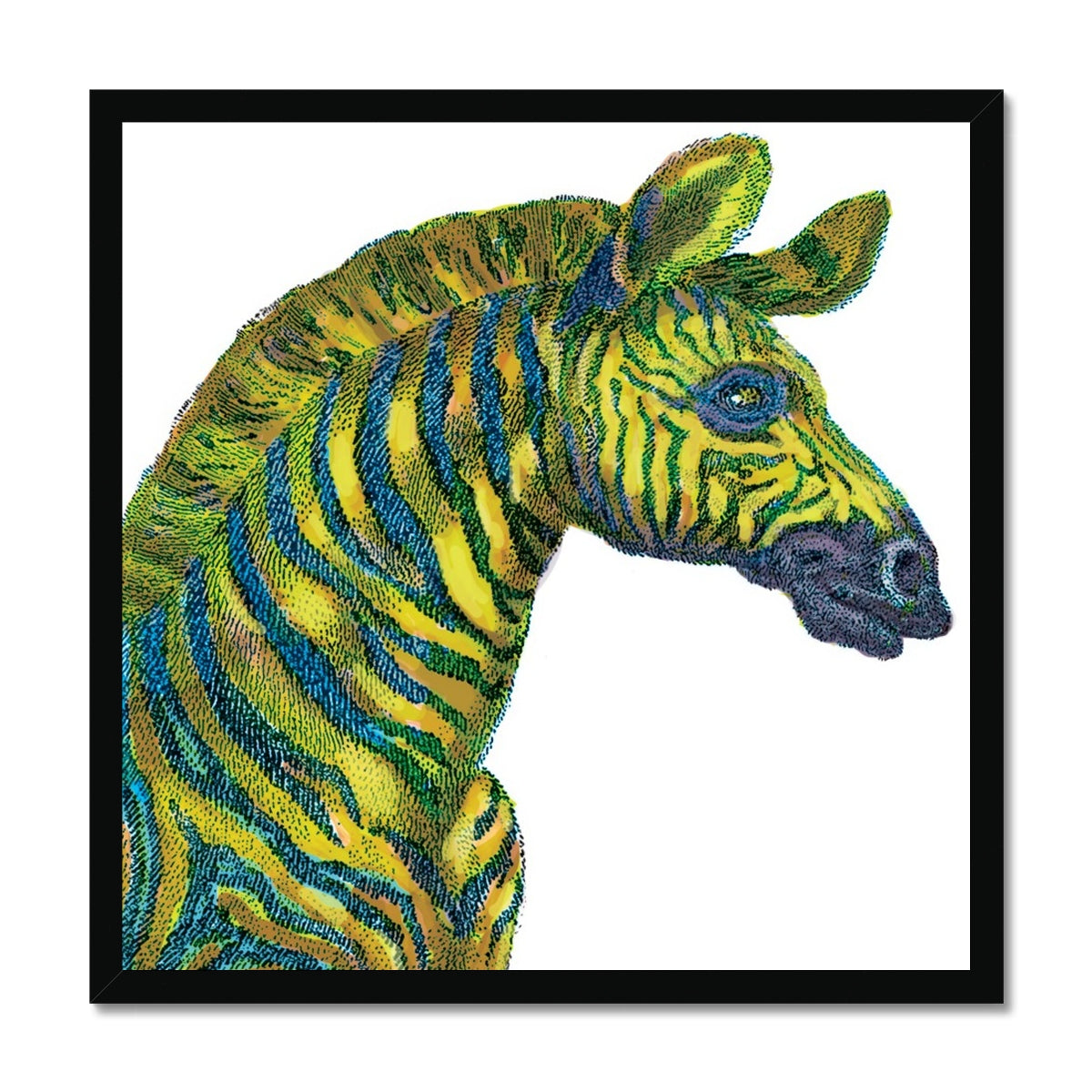 Zebra Classic Framed Print