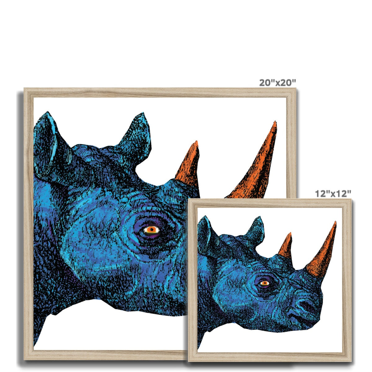 Blue Rhino Classic Framed Print