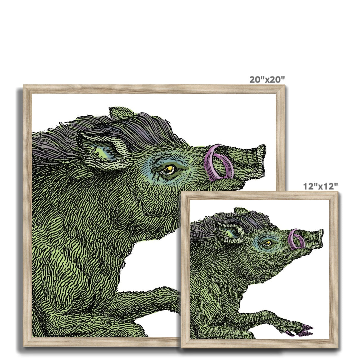 Warthog  Classic Framed Print