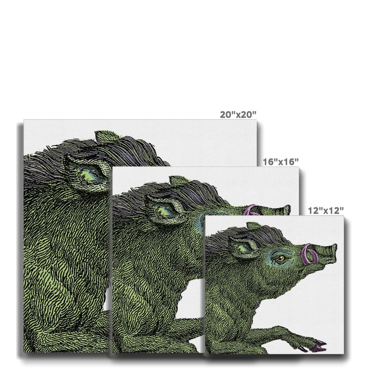 Warthog  Classic Eco Canvas