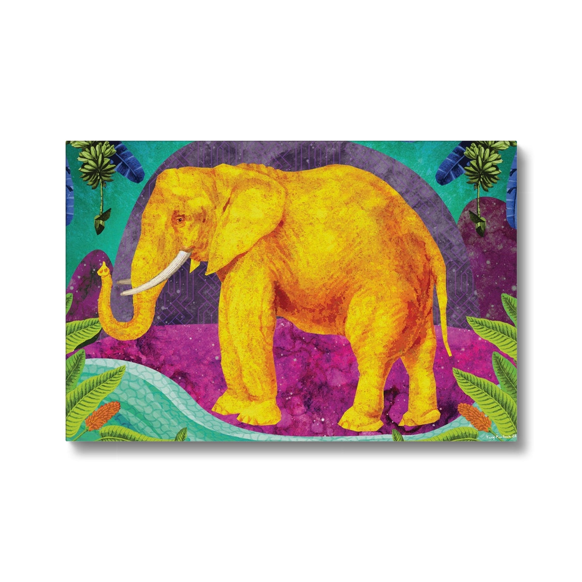 Africa Dreaming Elephant Eco Canvas