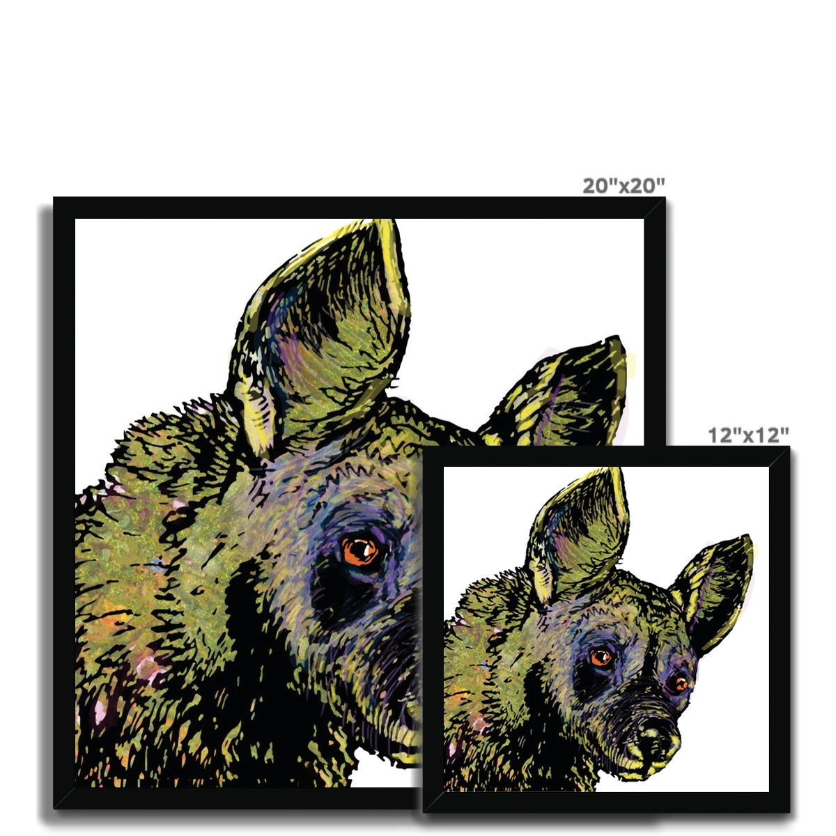 African Wild Dog Classic Framed Print