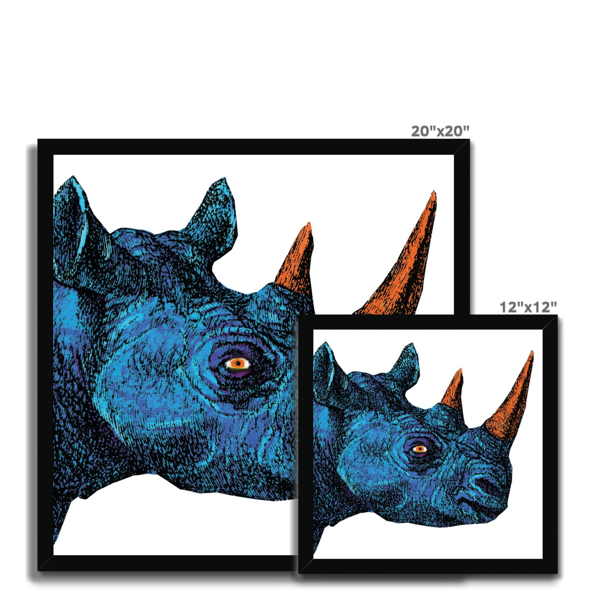 Blue Rhino Classic Framed Print