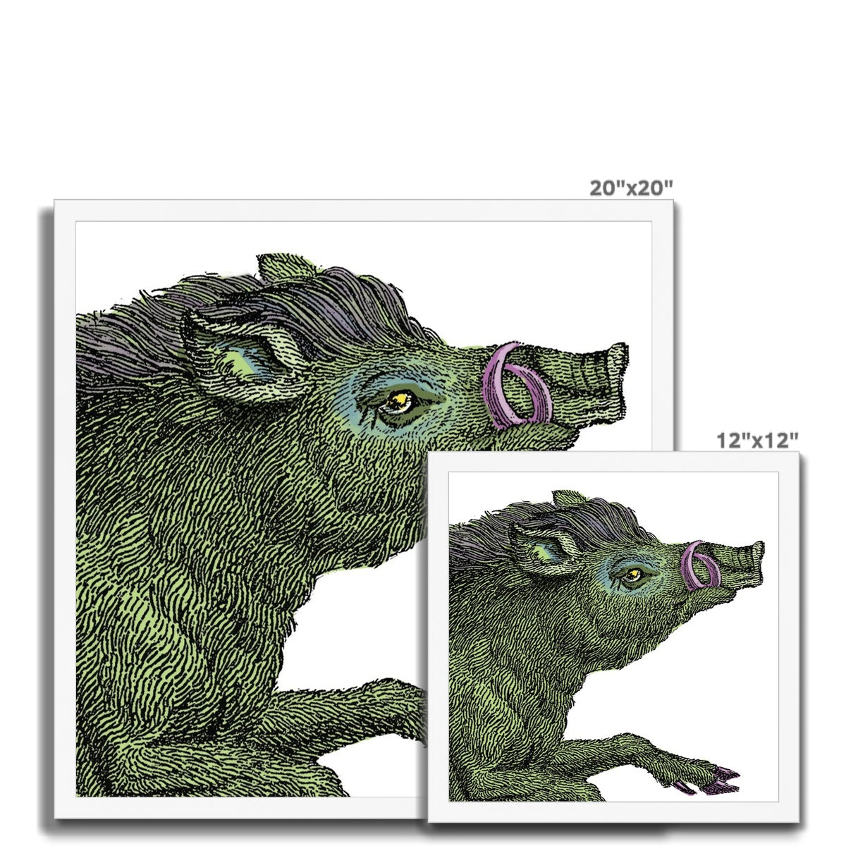 Warthog  Classic Framed Print