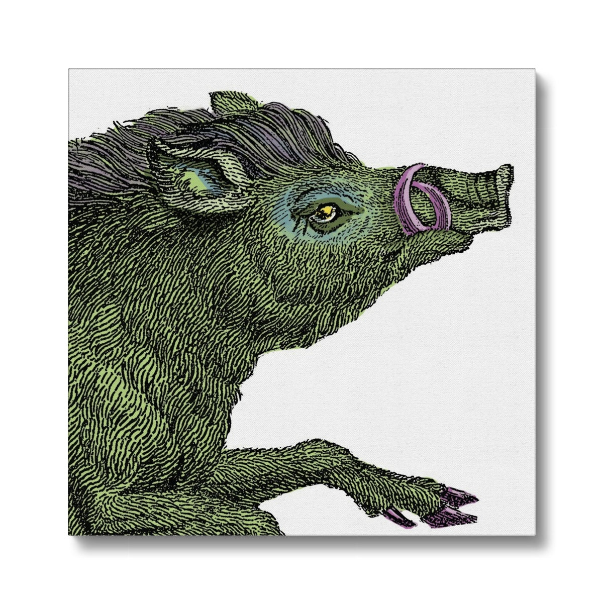 Warthog  Classic Eco Canvas