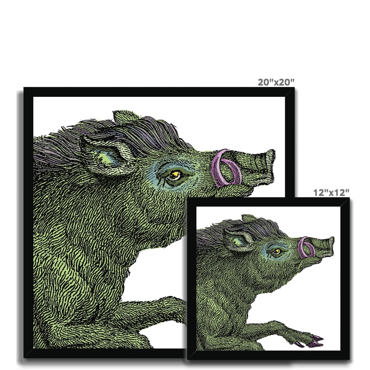 Warthog  Classic Framed Print