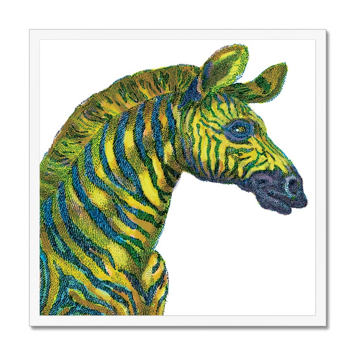 Zebra Classic Framed Print