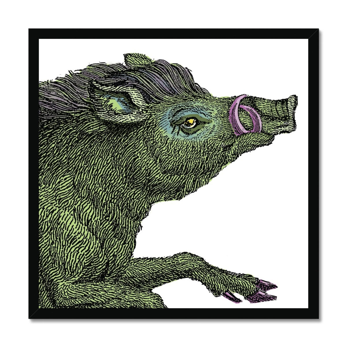 Warthog  Classic Framed Print