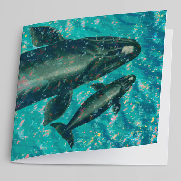 Southern Right Whales (Aerial View) Greeting Card-Greeting Card-Tony Pinchuck-Tony Pinchuck