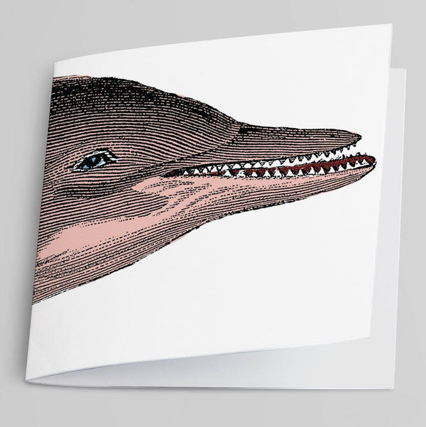 Dolphin-Greeting Card-Tony Pinchuck-Tony Pinchuck