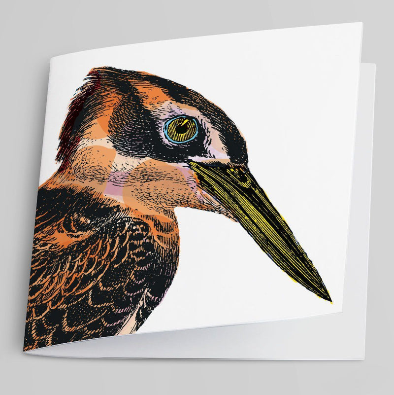 Kingfisher-Greeting Card-Tony Pinchuck-Tony Pinchuck