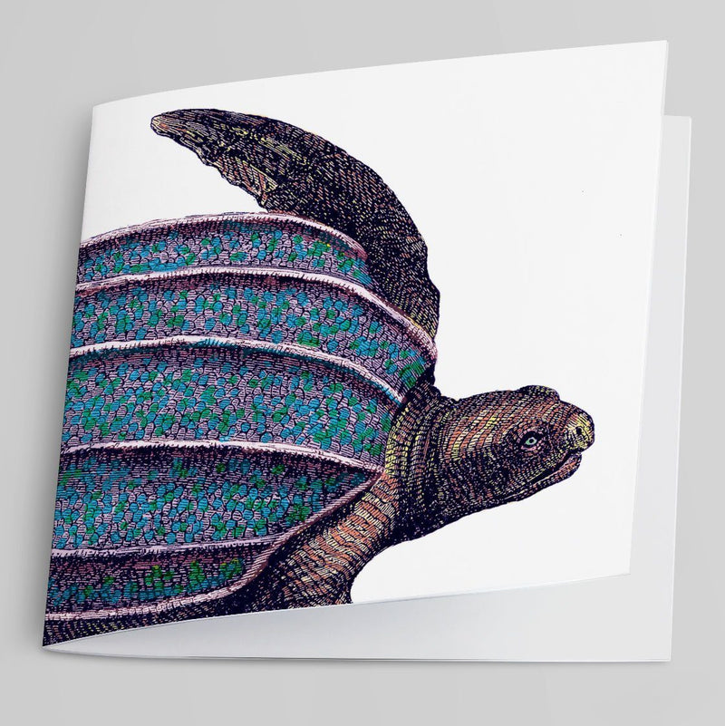 Turtle-Greeting Card-Tony Pinchuck-Tony Pinchuck